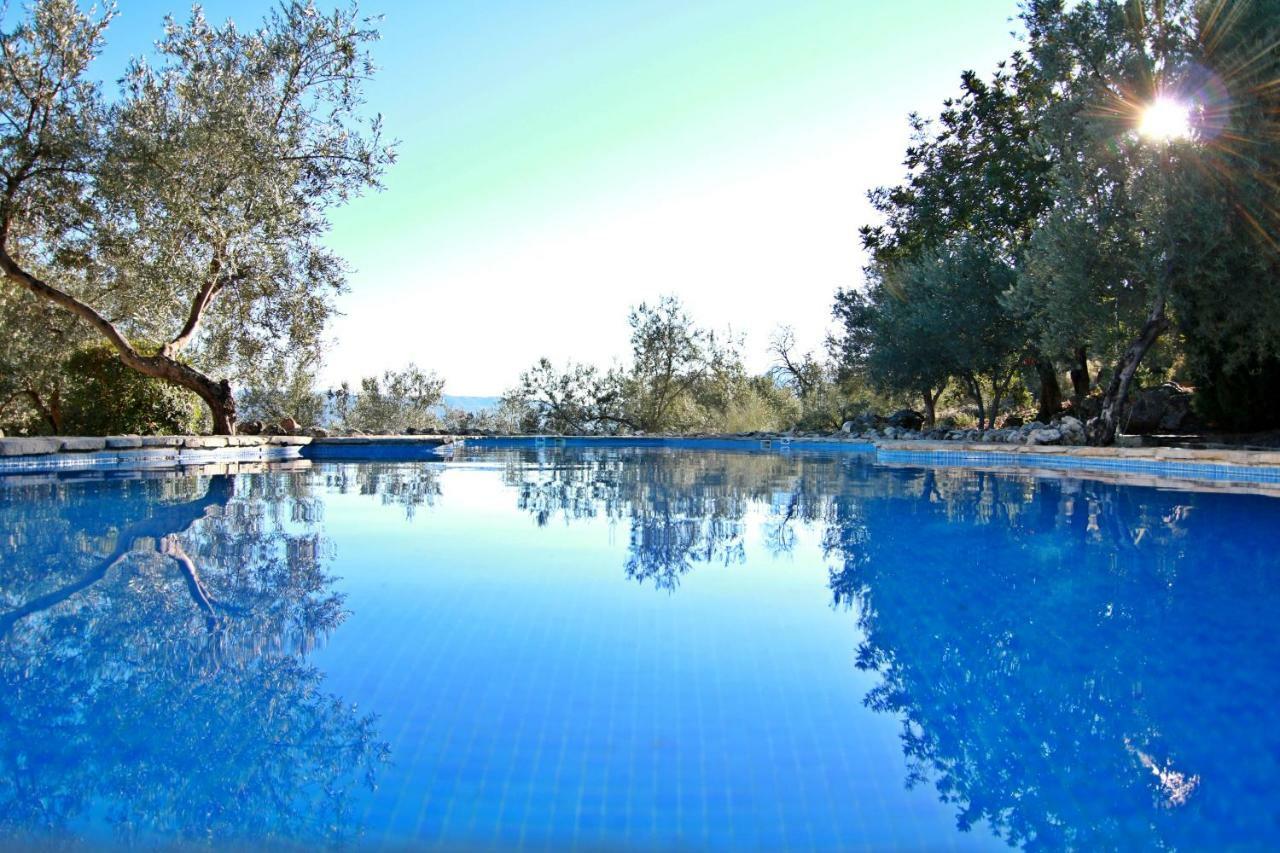 Casas Rurales Los Algarrobales El Gastor Exterior photo