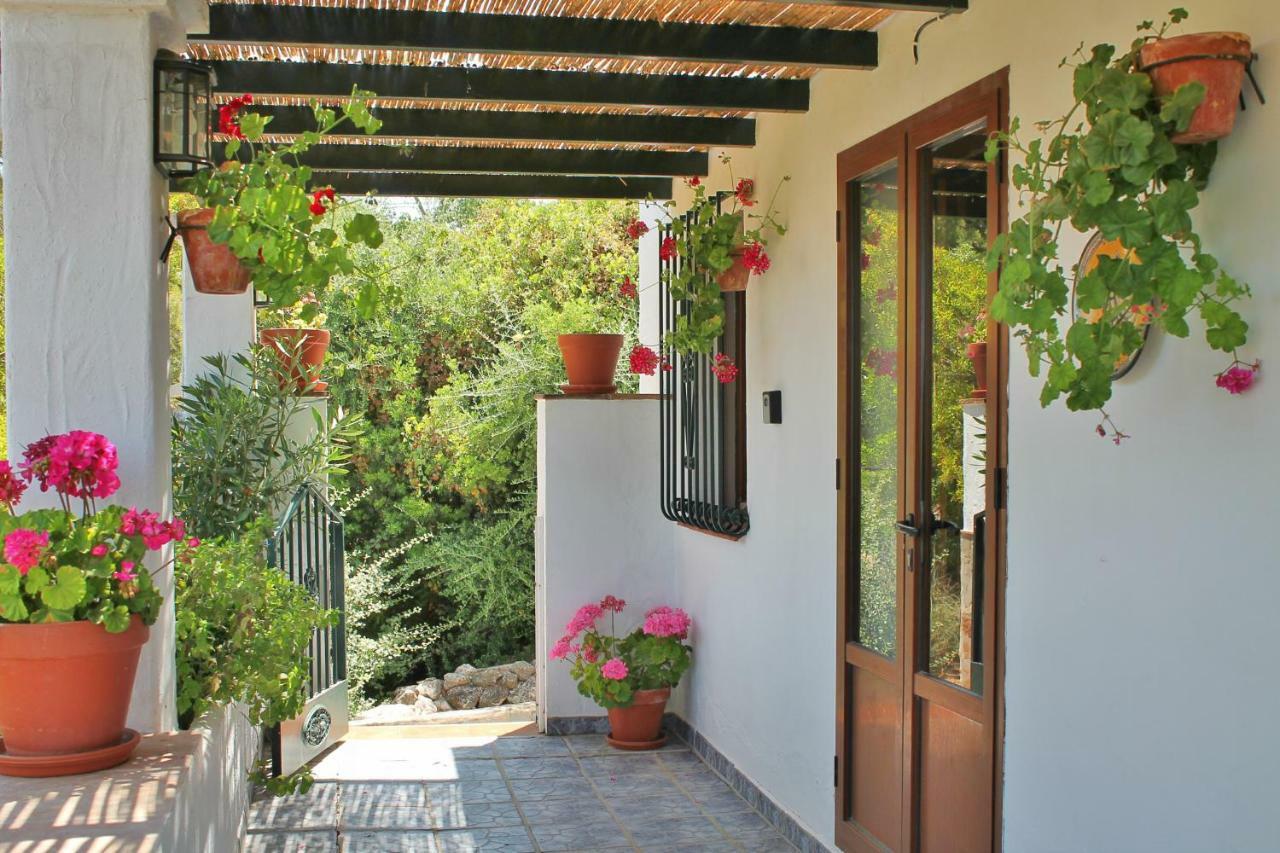 Casas Rurales Los Algarrobales El Gastor Exterior photo